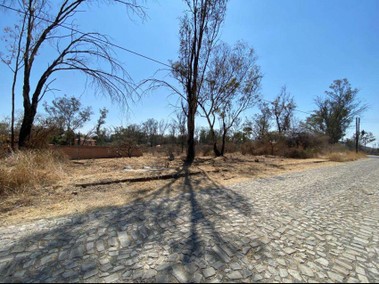 Lote-Wong-Lot-for-Sale-in-Agua-Escondida-Ixtlahuacan-de-los-Membrillos (8)