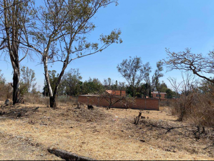 Lote-Wong-Lot-for-Sale-in-Agua-Escondida-Ixtlahuacan-de-los-Membrillos (5)