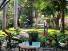 jardin nuevo villa encanto