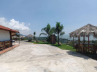 Lote Éxito
