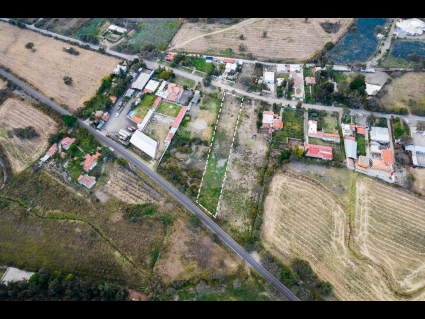 Lote Zaragoza-8