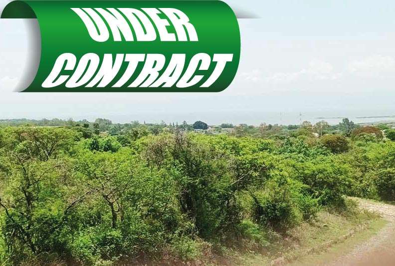 UNDER-CONTRACT-FONSECA