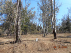 Lote-Agua-Escondida-2-Lot-for-sale-ixtlahuacan-de-los-membrillos (2)