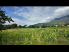 DJI_20241009102412_0216_D