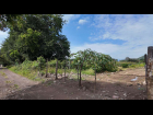 DJI_20241009102024_0209_D
