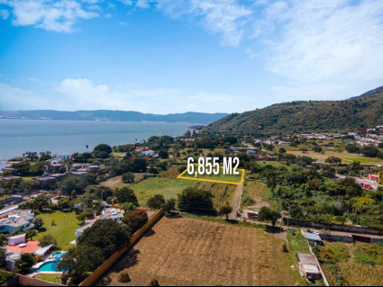 Sin-título-Lote-2-03