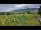 DJI_20241009102405_0215_D