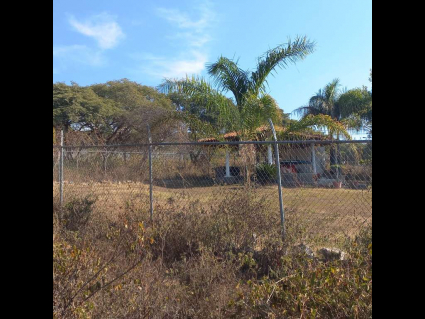 San-Nicolas-de-Ibarra-Lote-Osos 3