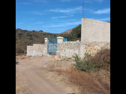 San-Nicolas-de-Ibarra-Lote-Osos 6