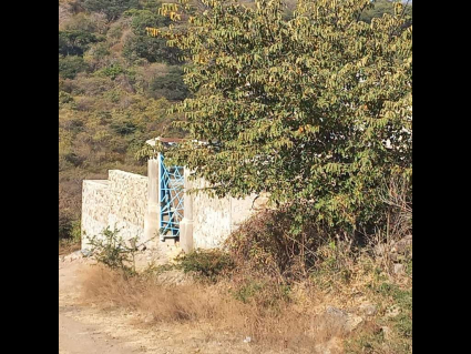 San-Nicolas-de-Ibarra-Lote-Osos 7