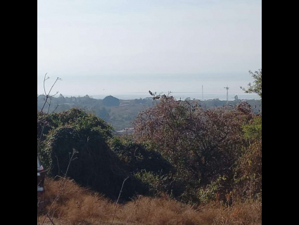 San-Nicolas-de-Ibarra-Lote-Osos 12