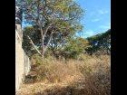 San-Nicolas-de-Ibarra-Lote-Osos 13
