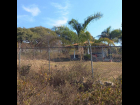 San-Nicolas-de-Ibarra-Lote-Osos 3