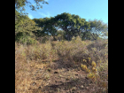 San-Nicolas-de-Ibarra-Lote-Osos 4