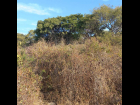 San-Nicolas-de-Ibarra-Lote-Osos 10