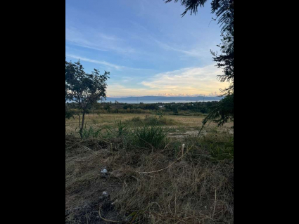 vista la labor 2