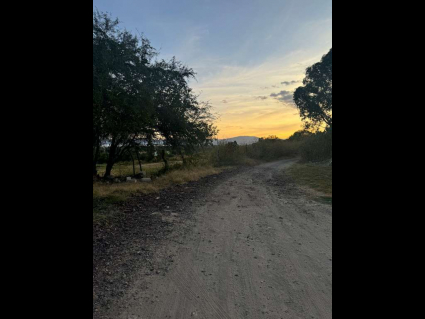 camino a la labor