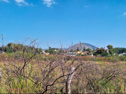 Lote-Shalo-Santa-Cruz-Lot-for-sale-san-Cruz-de-la-soledad (6)
