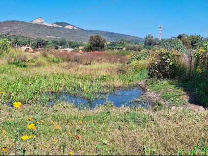 Lote-Shalo-Santa-Cruz-Lot-for-sale-san-Cruz-de-la-soledad (10)