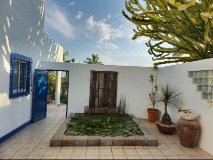 17. Casa de os sueños. fishpond