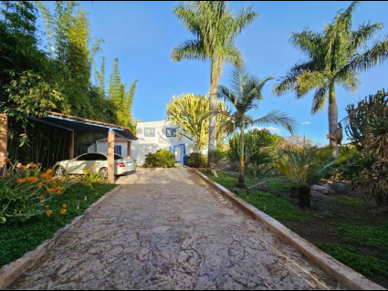 14. Casa de los Sueños. Entry