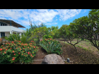 5. Casa de los Sueños.Cactus garden & fruit trees