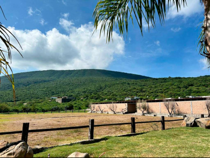 lotes-viñedos-lot-for-sale-jocotepec (11)