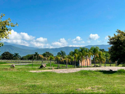 lotes-viñedos-lot-for-sale-jocotepec (9)