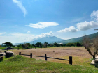 lotes-viñedos-lot-for-sale-jocotepec (10)