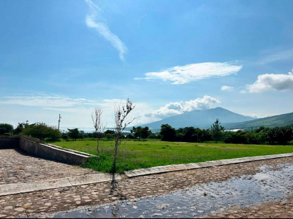 lotes-viñedos-lot-for-sale-jocotepec (12)