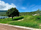 lotes-viñedos-lot-for-sale-jocotepec (3)