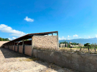 lotes-viñedos-lot-for-sale-jocotepec (7)