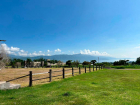 lotes-viñedos-lot-for-sale-jocotepec (8)
