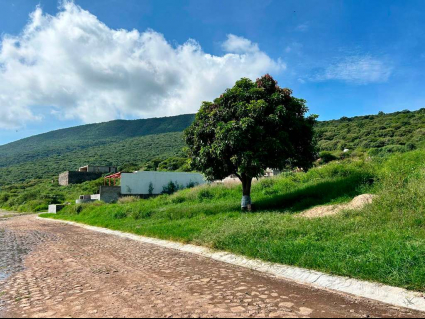 lotes-viñedos-lot-for-sale-jocotepec (2)