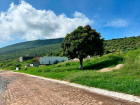 lotes-viñedos-lot-for-sale-jocotepec (2)
