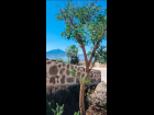 Lote-Azabache-lot-for-sale-jocotepec (12)