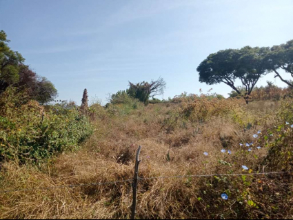 Terreno San Nicolas