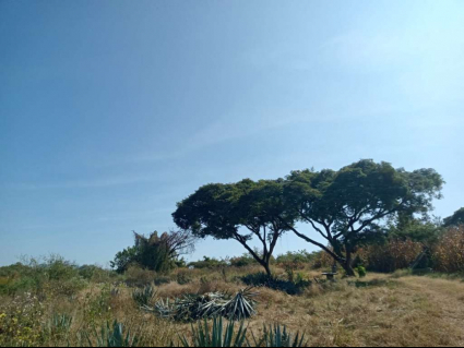 Terreno San Nicolas