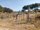 Terreno San Nicolas