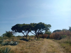 Terreno San Nicolas