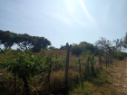 Terreno San Nicolas
