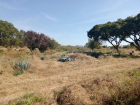 Terreno San Nicolas