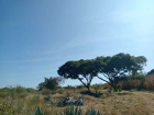 Terreno San Nicolas