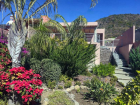 15-Front-Garden