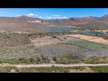 DJI_20250113113512_0023_D