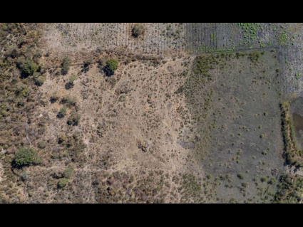 DJI_20250113112131_0004_D