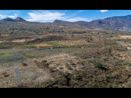DJI_20250113113221_0015_D