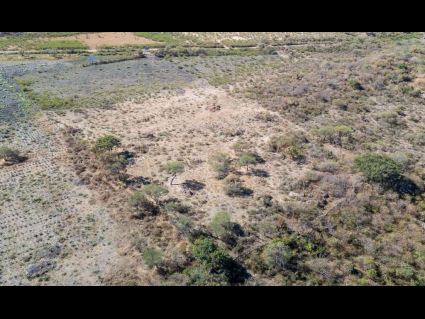 DJI_20250113113239_0017_D