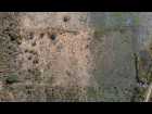 DJI_20250113112146_0006_D