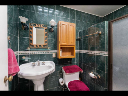 guest bathroom 